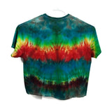 Hand Dyed Tie Dye Tee Cotton Jersey Shirt Adult Plus 5XL Rainbow Gradient